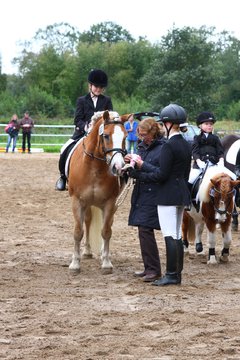 Bild 712 - WBO-Turnier am 18.9.11